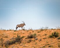 Namibia 2023