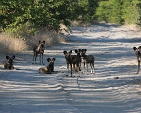 Namibia-Botswana 2009
